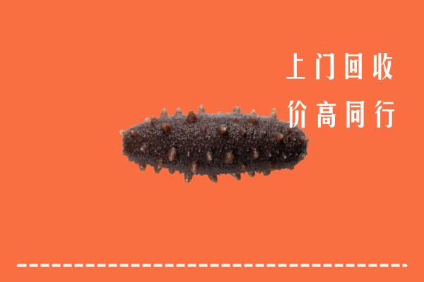 高价求购：银川市永宁县回收海参