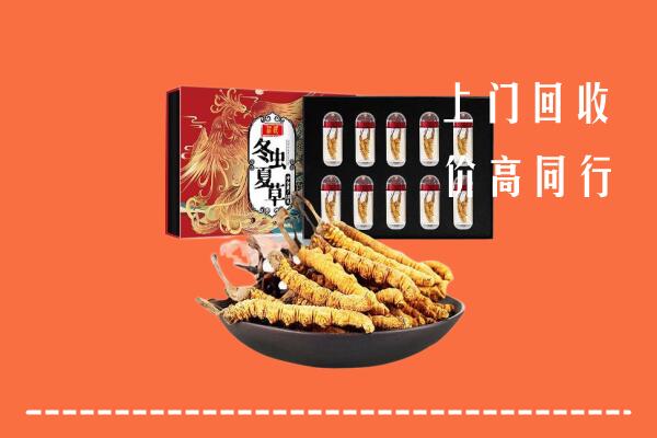 银川市永宁县回收虫草